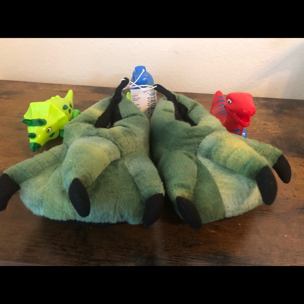NWT Dino slippers